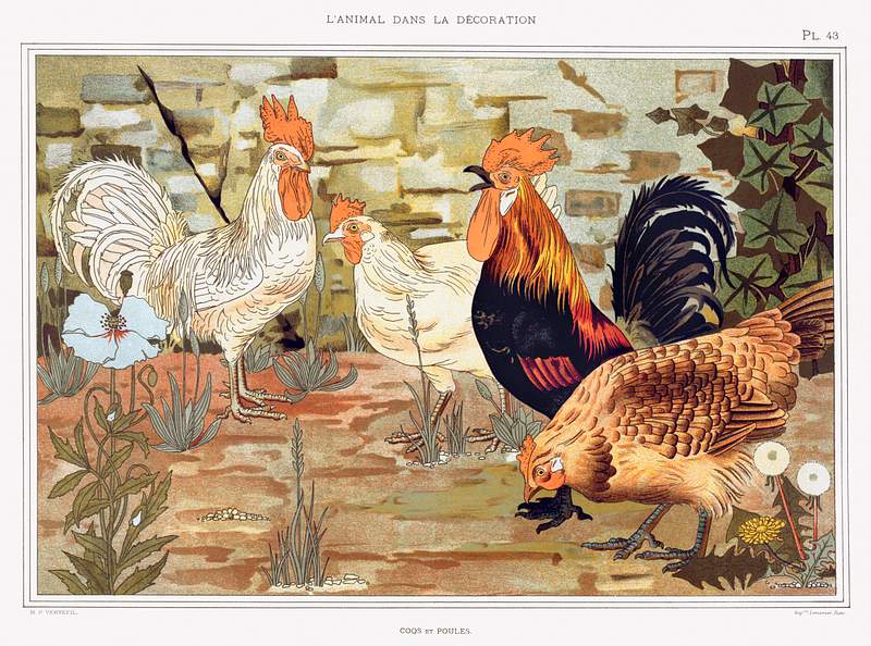 Coqs et poules from L'animal dans la décoration (1897) illustrated by Maurice Pillard Verneuil. Original from the The…