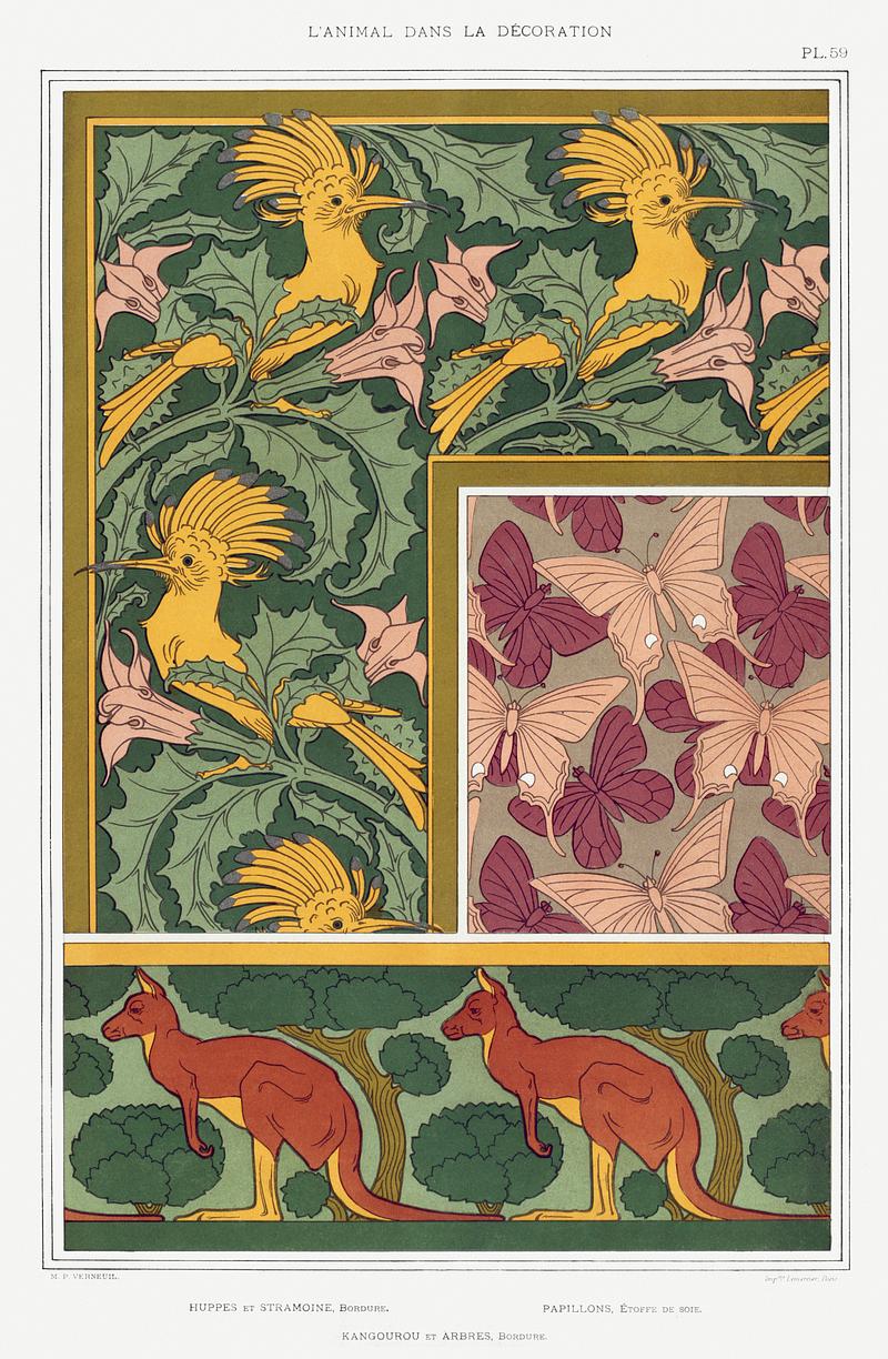 Illustration from L'animal dans la décoration Huppes et stramoine, bordure. Papillons, étoffe de soie. Kangourou et arbres, bordure from L'animal dans la…