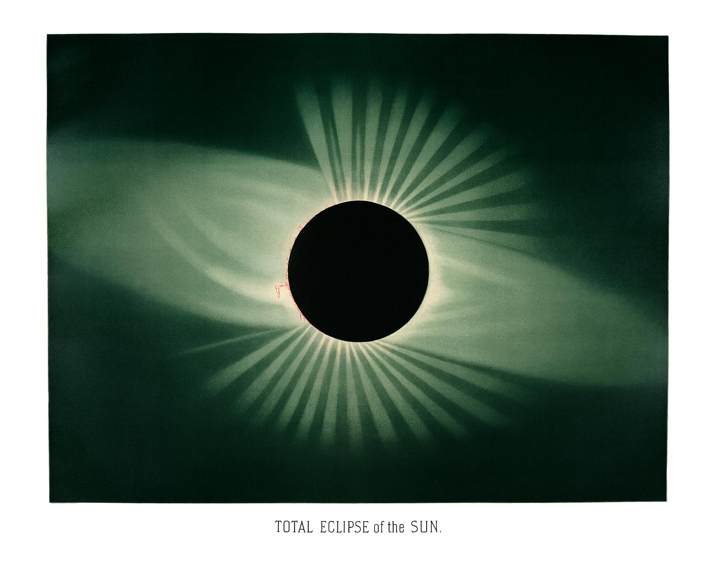 Total eclipse of the sun from the Trouvelot
astronomical drawings (1881-1882) by E. L. Trouvelot (1827-1895) Total eclipse of the sun from the Trouvelot
astronomical drawings (1881-1882) by E. L. Trouvelot (1827-1895)