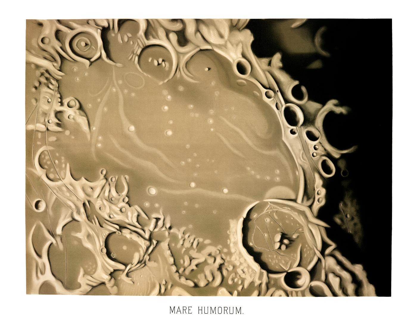 Mare Humorum from the Trouvelot
astronomical drawings (1881-1882) by E. L. Trouvelot (1827-1895) Mare Humorum from the Trouvelot
astronomical drawings (1881-1882) by E. L. Trouvelot (1827-1895)