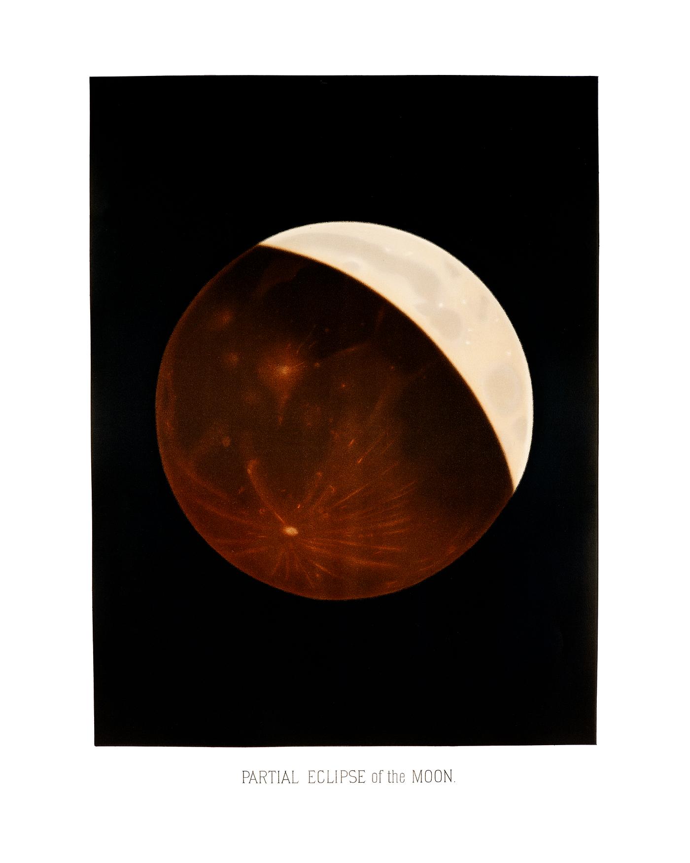 Partial eclipse of the moon from the Trouvelot
astronomical drawings (1881-1882) by E. L. Trouvelot (1827-1895) Partial eclipse of the moon from the Trouvelot
astronomical drawings (1881-1882) by E. L. Trouvelot (1827-1895)