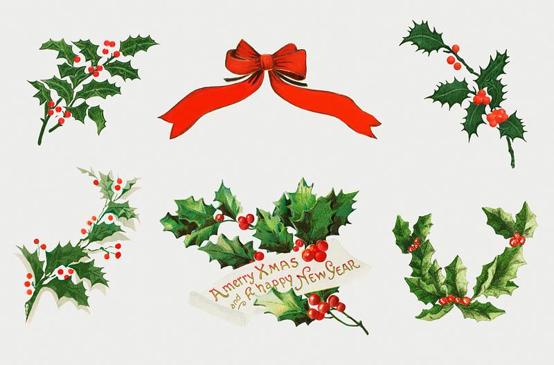 Vintage holly illustration set Vintage holly vector collection