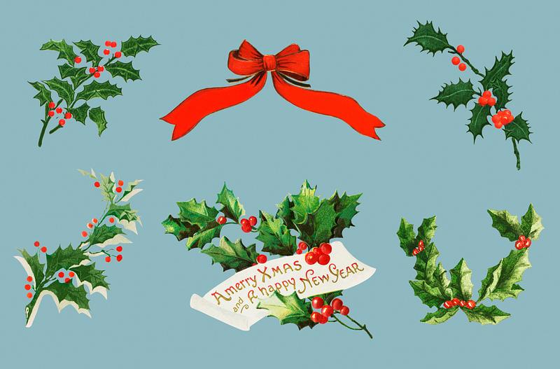 Vintage holly illustration set Vintage holly vector collection