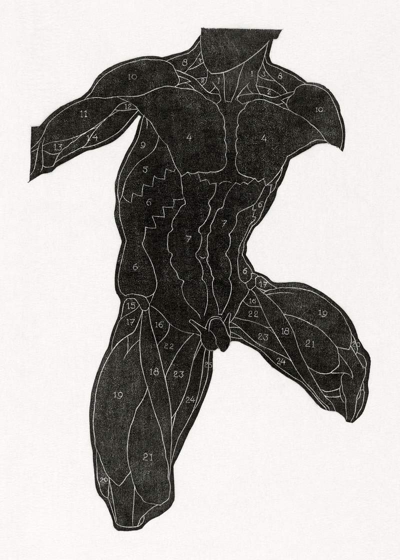 Anatomical study of a man's muscles in silhouette (1906–1945) print in high resolution by Reijer Stolk. Original from…