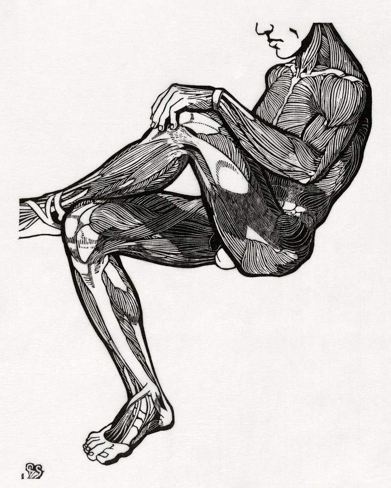 Anatomical study of a man's leg and arm muscles (1906–1945) print in high resolution by Reijer Stolk. Original from the…
