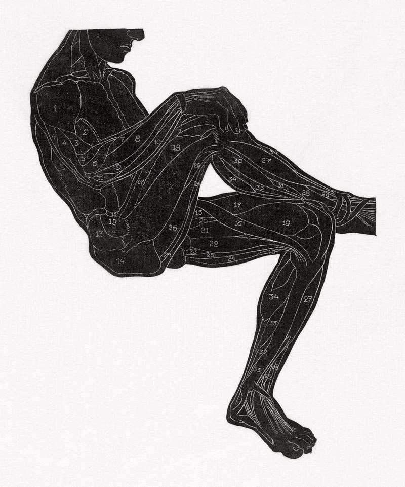 Anatomical study of a man's leg and arm muscles in silhouette (1906–1945) print in high resolution by Reijer Stolk.…