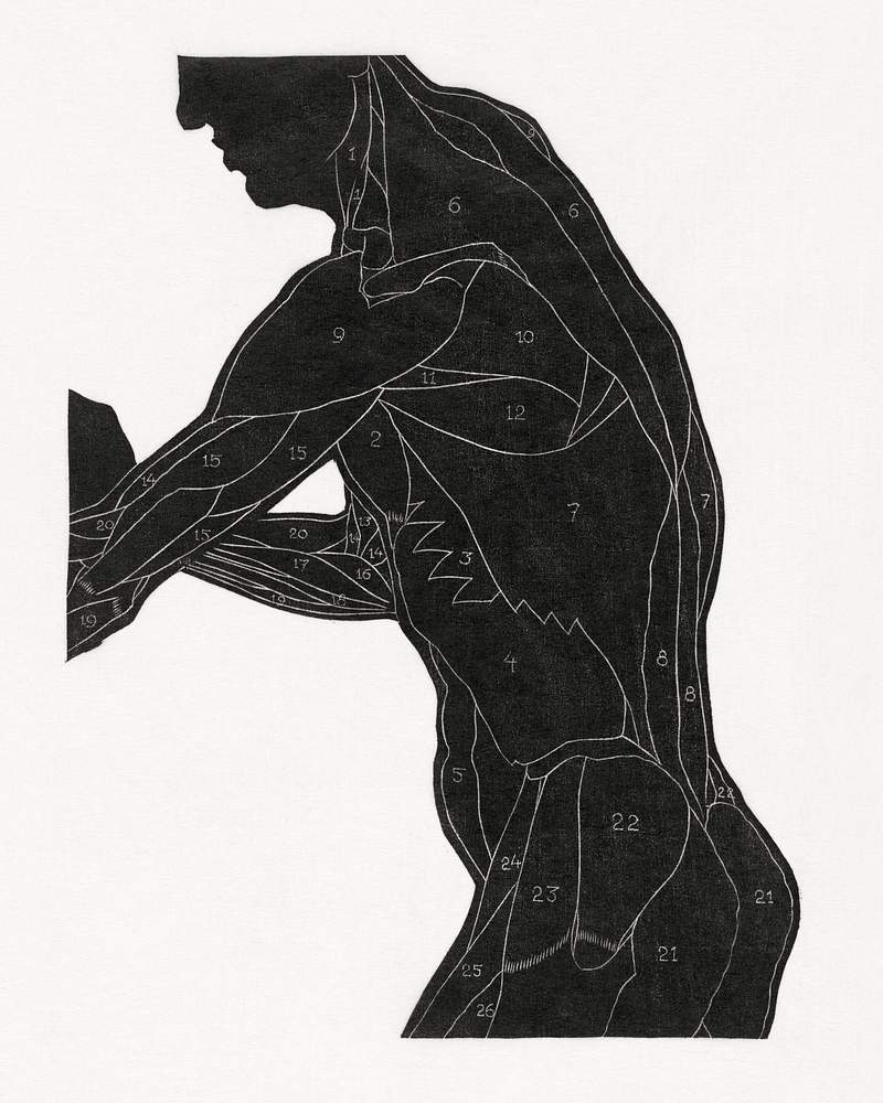 Anatomical study of a man's lateral and arm muscles in silhouette (1906–1945) print in high resolution by Reijer Stolk.…
