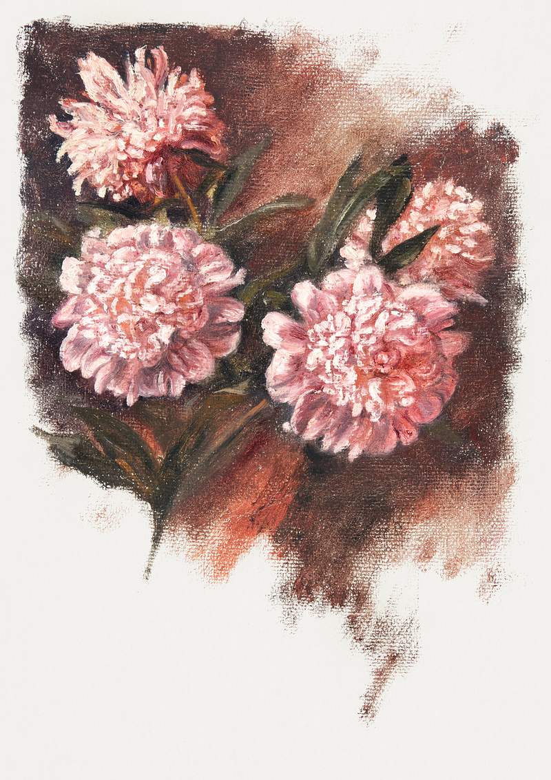 Red Peonies during 19th–20th century by… | Free public domain illustration Red Peonies during 19th–20th century by Samuel Colman. Original from The Smithsonian Institution. Digitally enhanced by…