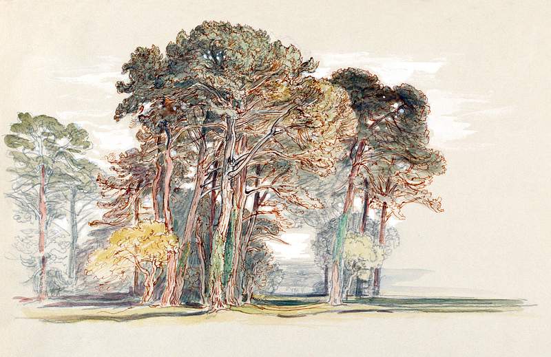 The Pine Trees of El Monte, California (April 10, 1898) by Samuel Colman. Original from The Smithsonian Institution.…