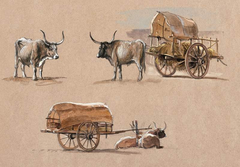 Oxcarts, Italy (January 1873) by Samuel… | Free public domain illustration Oxcarts, Italy (January 1873) by Samuel Colman. Original from The Smithsonian Institution. Digitally enhanced by rawpixel.