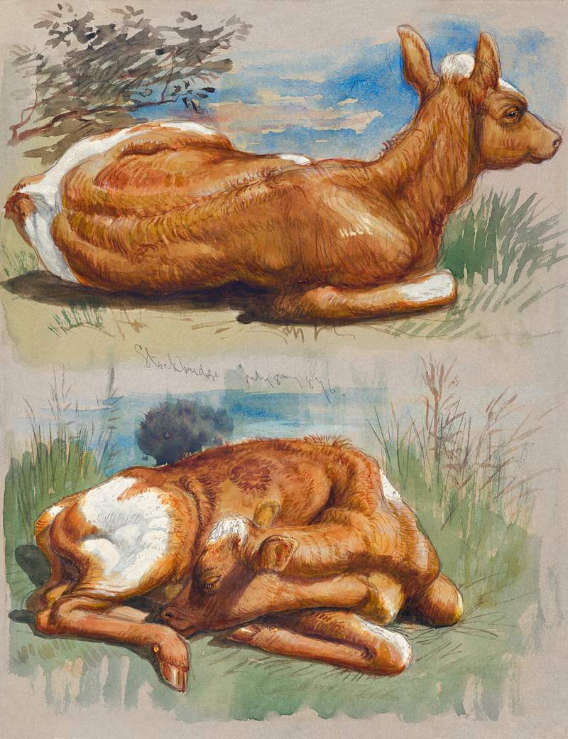 Studies of Calves, Stockbridge (July 8, 1876) by Samuel Colman. Original from The Smithsonian Institution. Digitally enhanced…