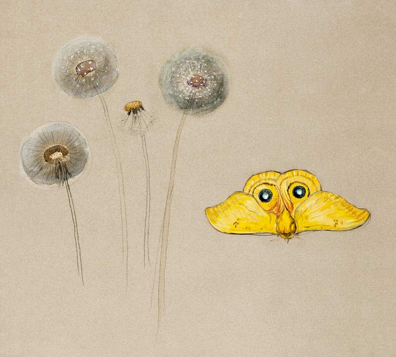 Study of White Daisy, Chamomile Stem with Two Petals, and a Chamomile Petal (1875–1890) by Samuel Colman. Original from…