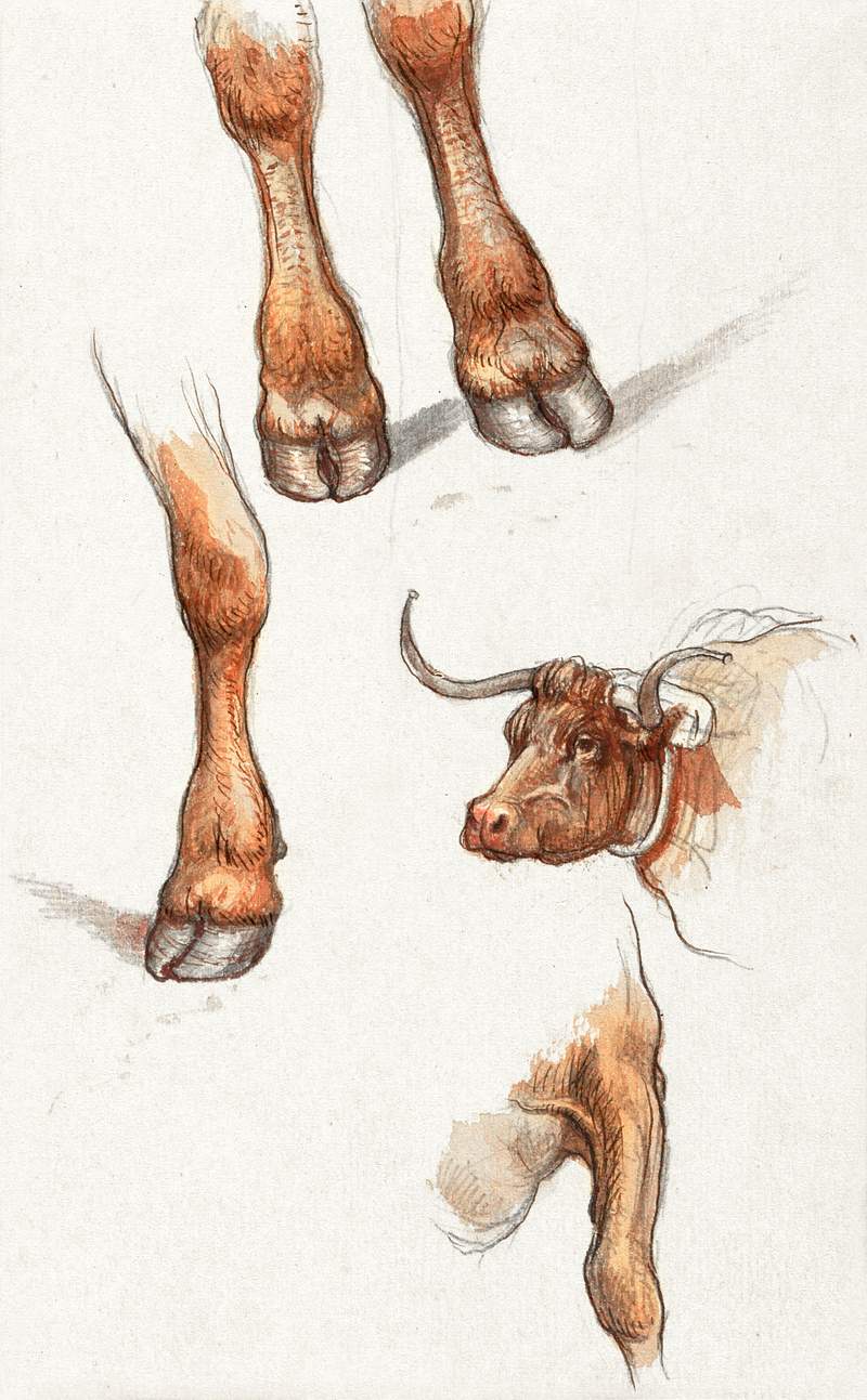 Sketches from Narragensett, Rhode Island (1871) by Samuel Colman. Original from The Smithsonian Institution. Digitally…
