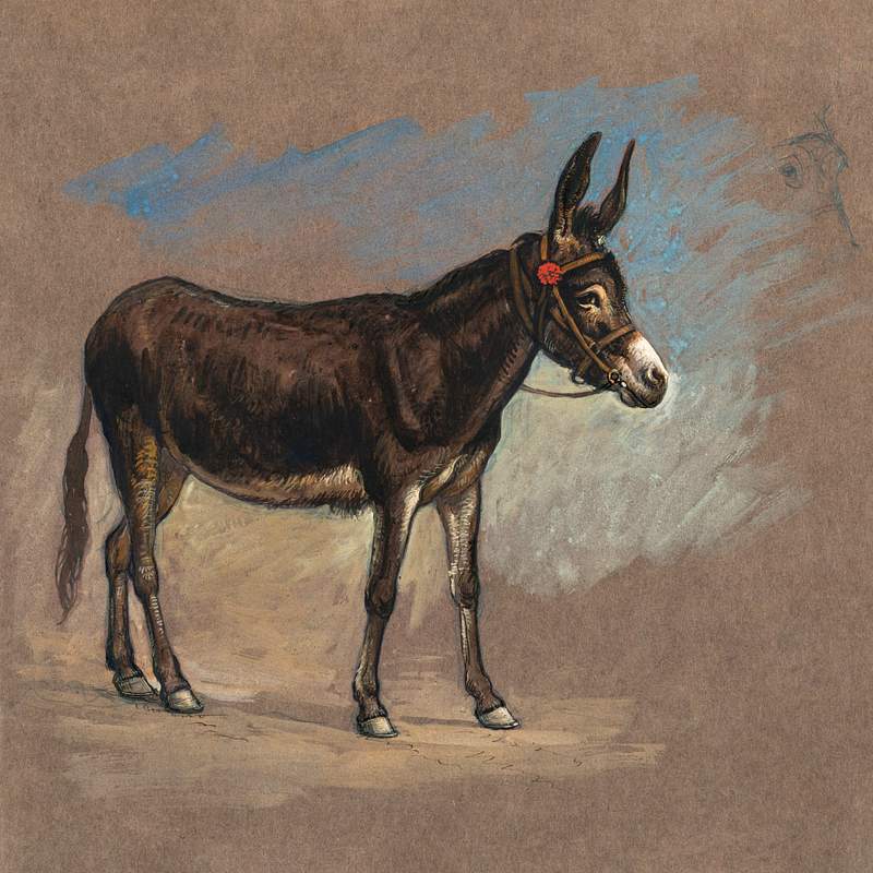 Study of a Mule (1872–1875) by Samuel Colman. Original from The Smithsonian Institution. Digitally enhanced by…