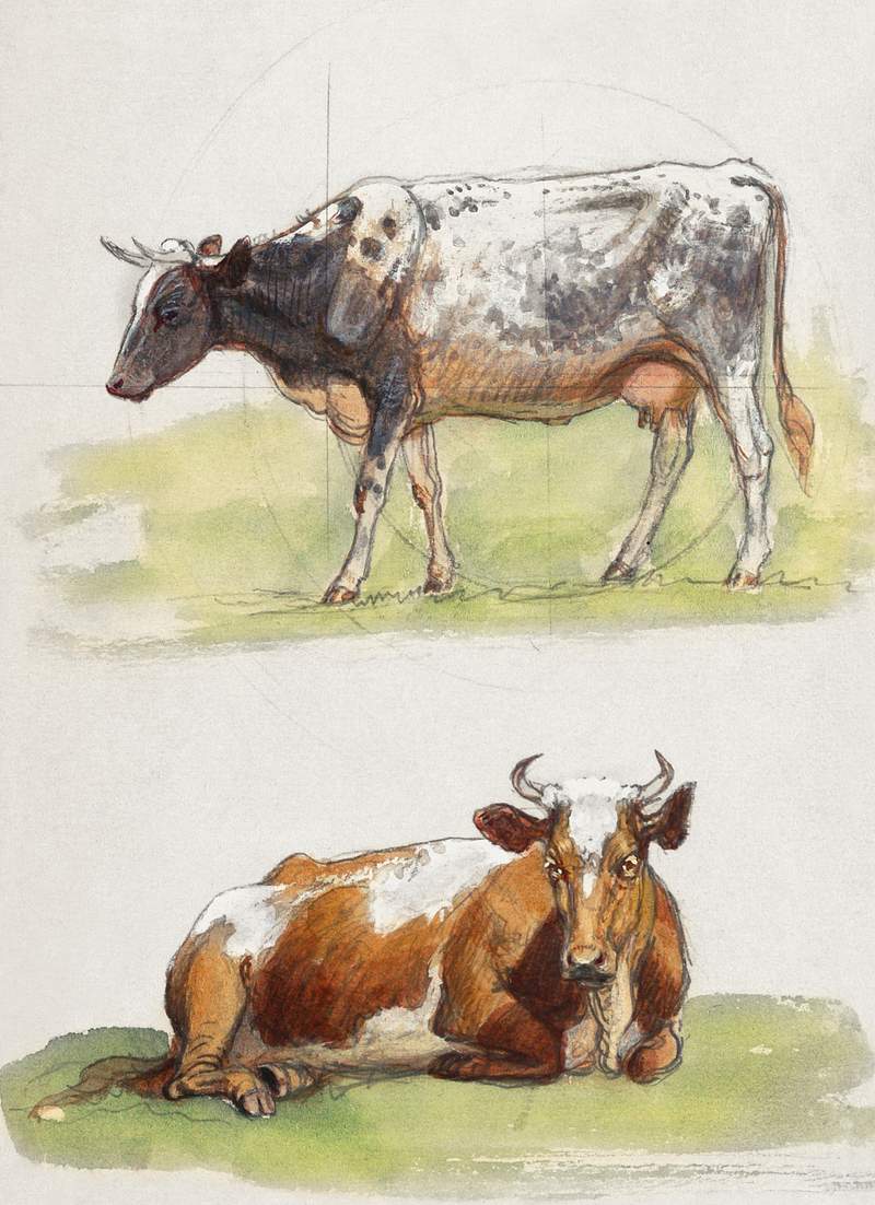 Cattle, a Cow Walking and a Cow Crouching (1 Spell Check As You Type (Selected)875–1880) by Samuel Colman. Original…
