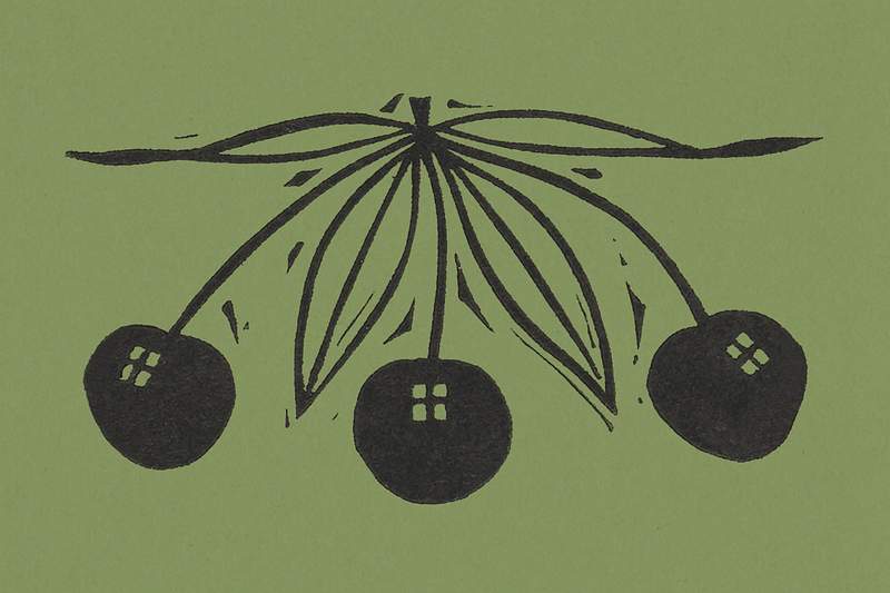 Three cherries (1892) print in high resolution by Gerrit Willem Dijsselhof. Original from the Rijksmuseum. Digitally enhanced…