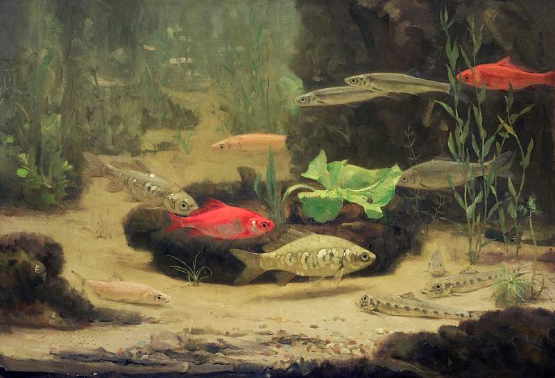 Gold- and Silverfish in an Aquarium (1890–1922) painting in high resolution by Gerrit Willem Dijsselhof. Original from…