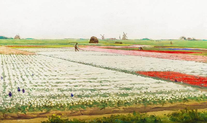 Tulip Fields (1890–1922) painting in high resolution by Gerrit Willem Dijsselhof. Original from the Rijksmuseum.…