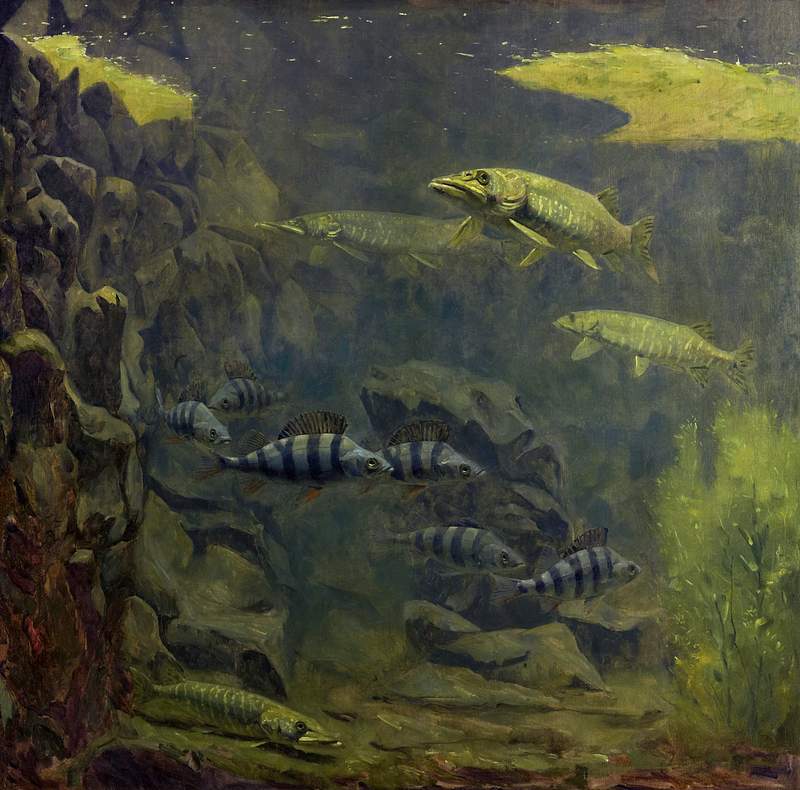 Pike and Perch in an Aquarium (1910–1920) painting in high resolution by Gerrit Willem Dijsselhof. Original from the…