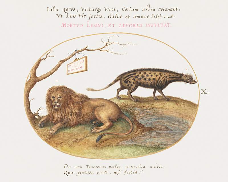 A Lion and a Civet Cat (1575–1580) painting in high resolution by Joris Hoefnagel. Original from The National Gallery…