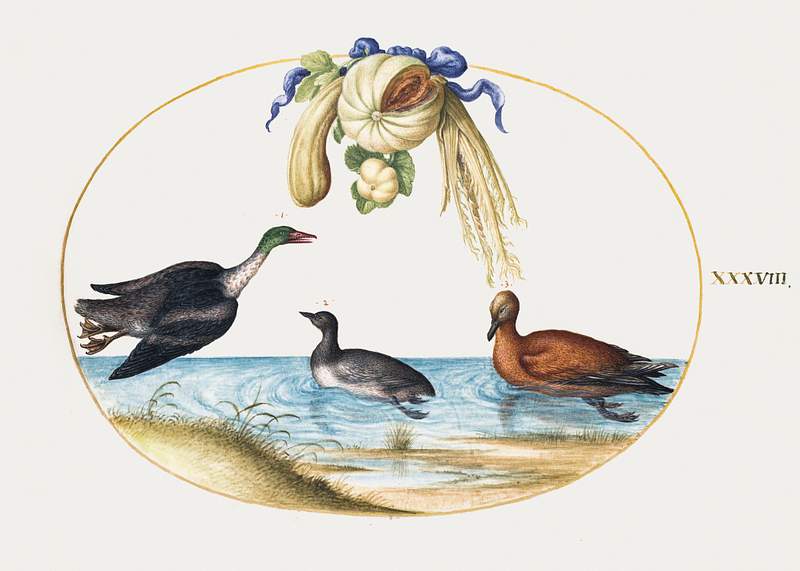 Merganser with Two Other Waterfowl and a Garland of Melons and Gourds (1575–1580) painting in high resolution by Joris…