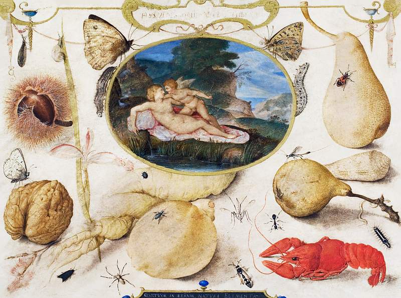 "Venus disarming Amor" in a medallion surrounded by plants, fruits, insects and shellfish (1593–1597) painting in high…