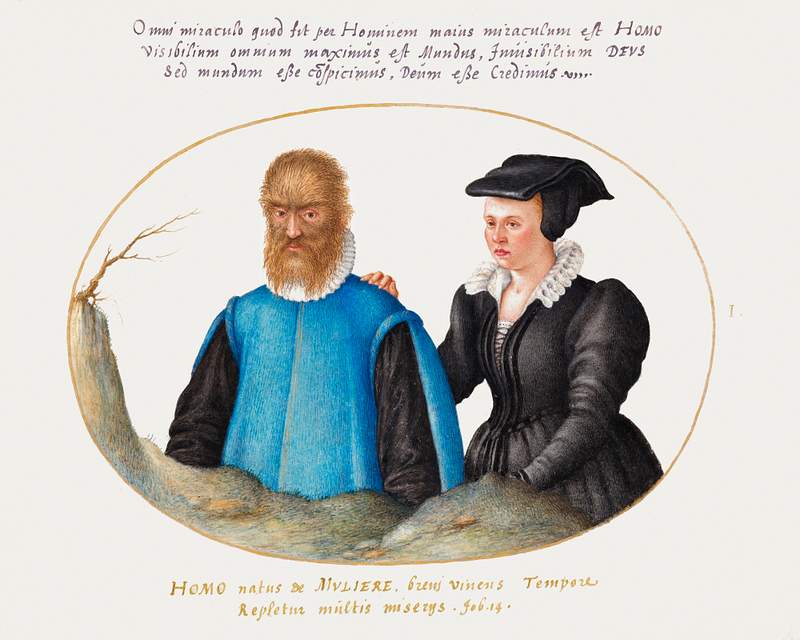 Pedro González (Petrus Gonsalvus) and His Wife, Catherine (1575–1580) painting in high resolution by Joris…