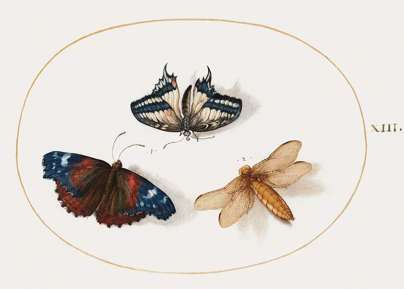 Yellow Swallowtail and Red Admiral Butterflies with a Dragonfly (1575–1580) painting in high resolution by Joris…
