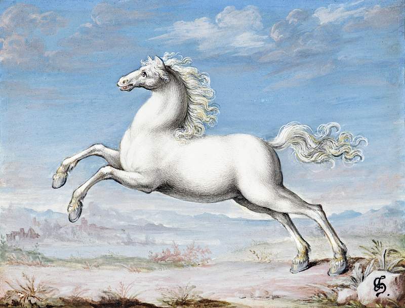White horse (1552–1601) painting in high resolution by Joris Hoefnagel. Original from The Rijksmuseum. Digitally…