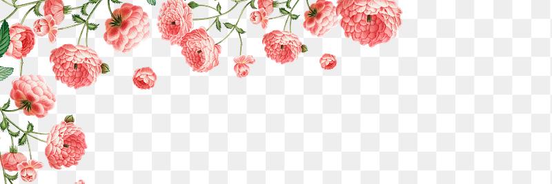 Search Free Stock Photos Psd Mockups Vectors Rawpixel