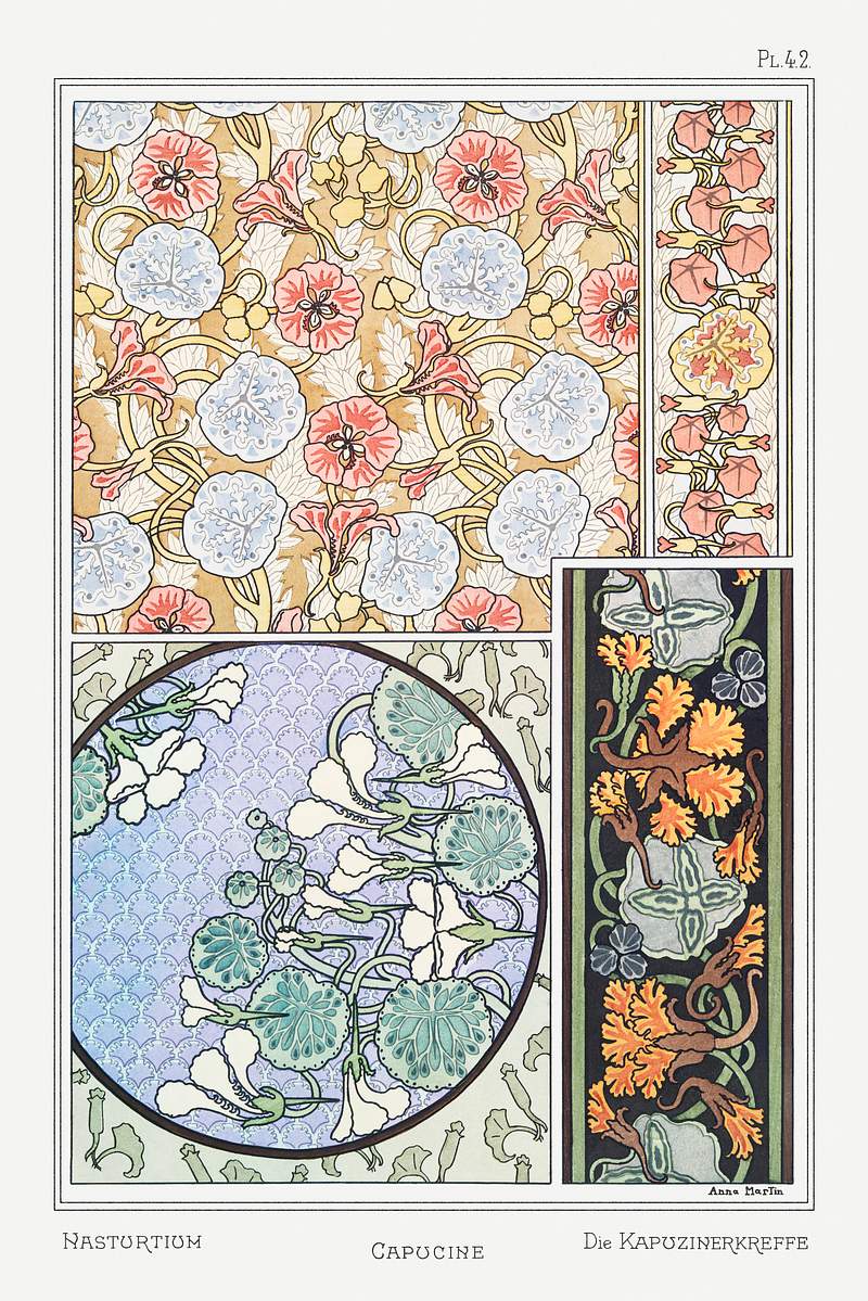 Capucine (nasturtium) from La Plante et ses Applications ornementales (1896) illustrated by Maurice Pillard Verneuil.…