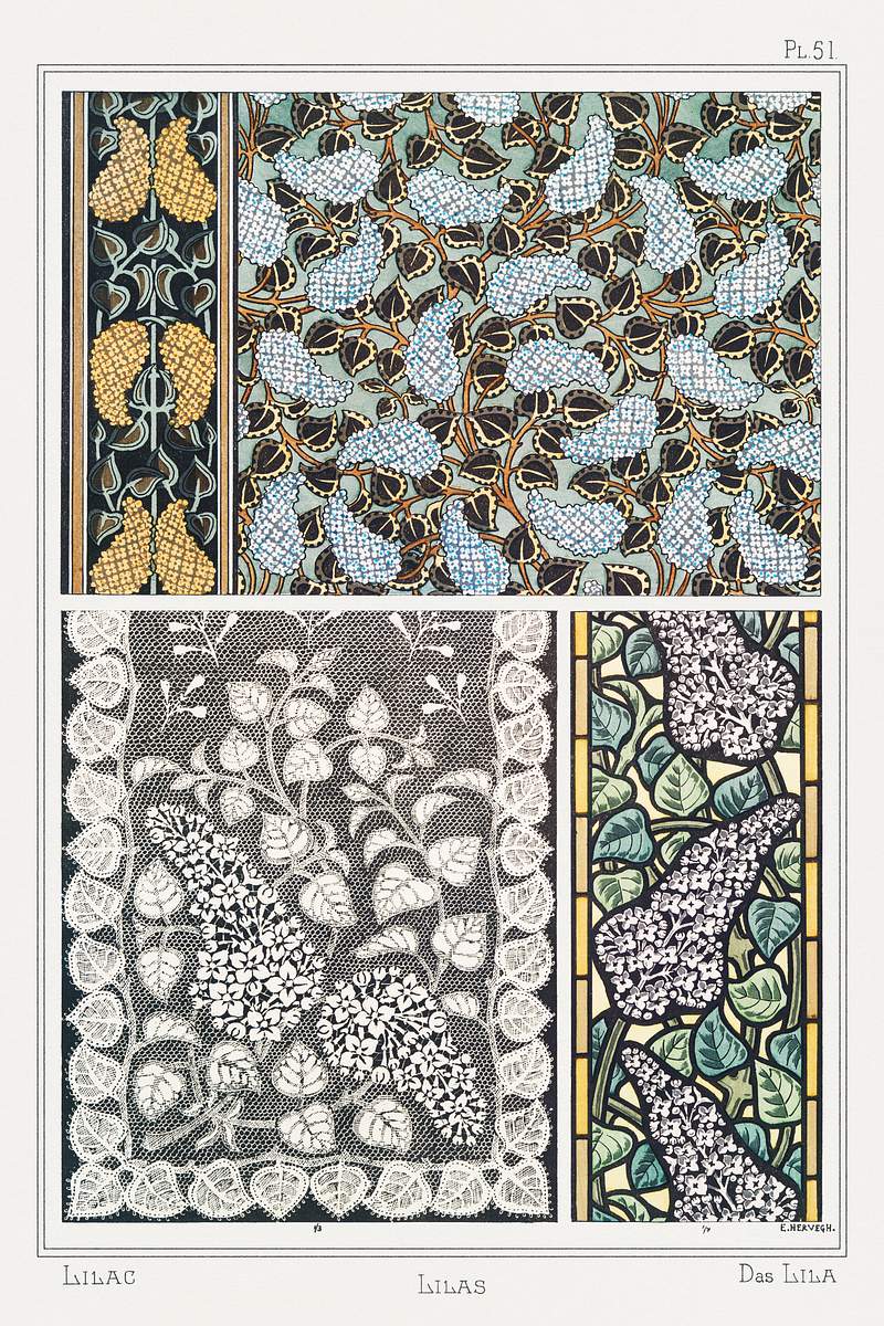 Lilas (Lilac) from La Plante et ses Applications ornementales (1896) illustrated by Maurice Pillard Verneuil. Original from…