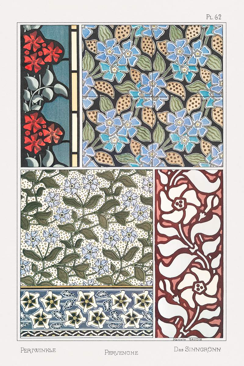 Pervenche (periwinkle) from La Plante et ses Applications ornementales (1896) illustrated by Maurice Pillard Verneuil.…