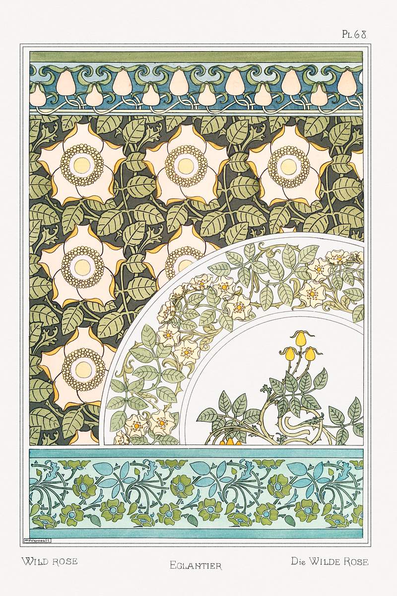 Eglantier (wild rose) from La Plante et ses Applications ornementales (1896) illustrated by Maurice Pillard Verneuil.…