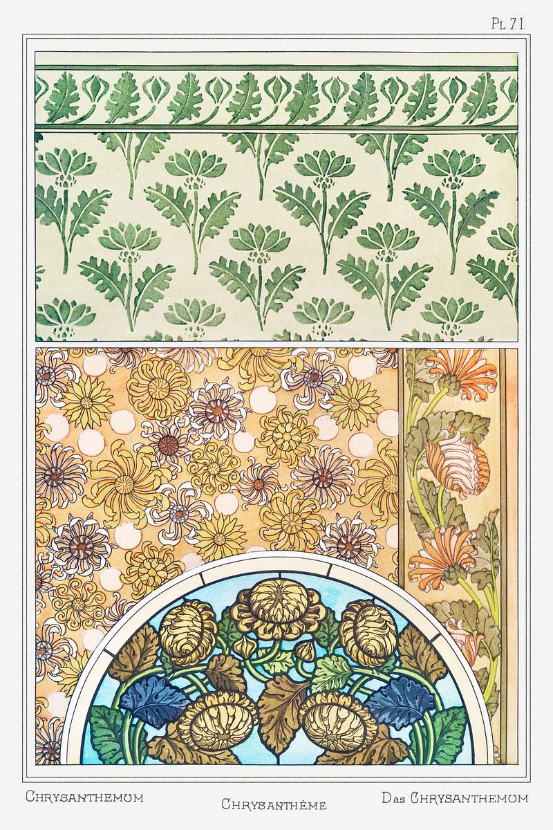 Chrysanthème (chrysanthemum) from La Plante et ses Applications ornementales (1896) illustrated by Maurice Pillard…
