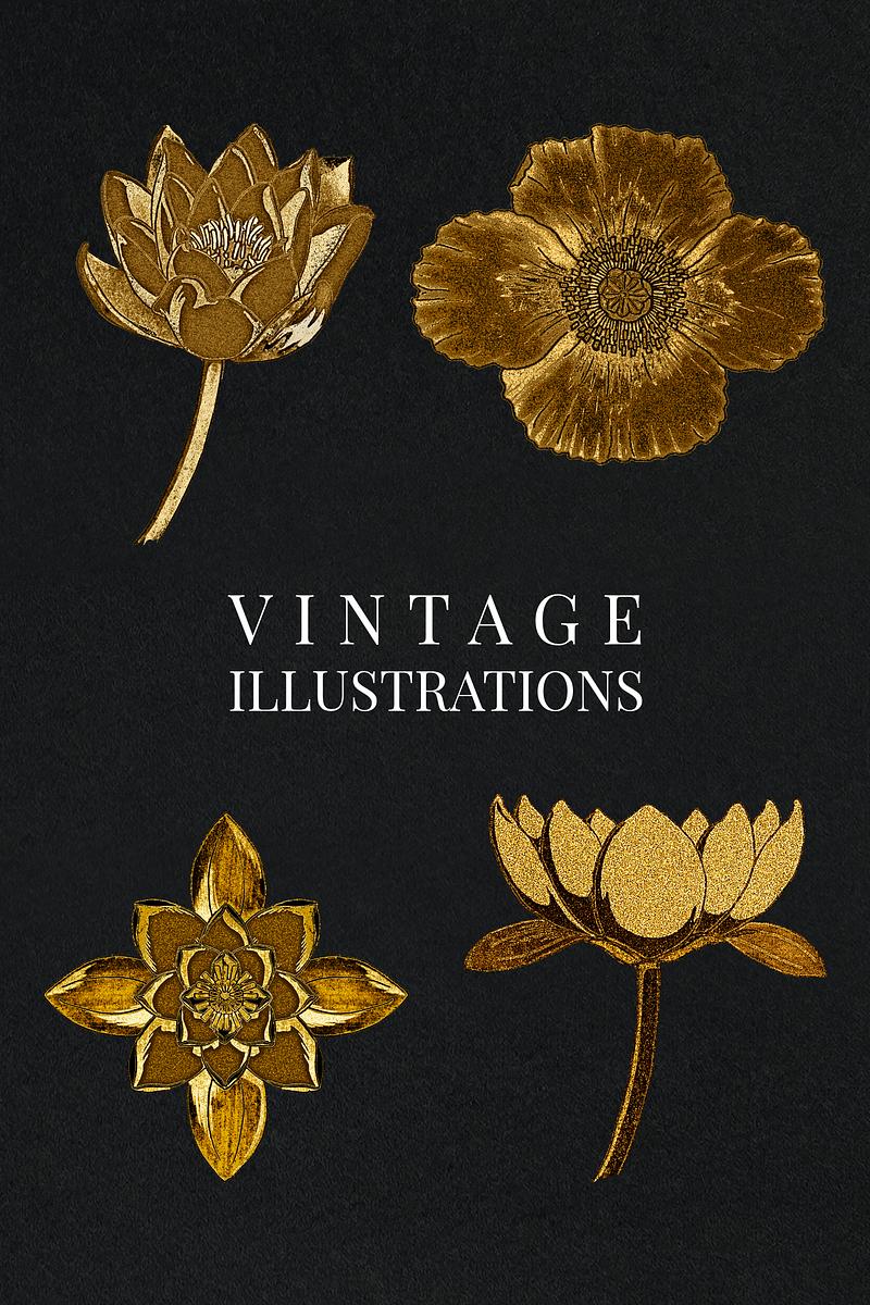 Vintage gold water lily and poppy flower… | Royalty free stock psd mockup | High Resolution design Vintage gold water lily and poppy flower illustration set design element