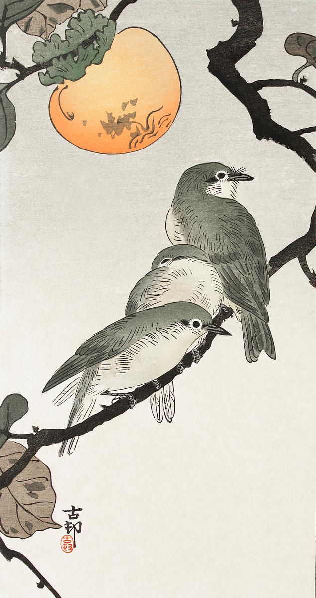 Birds and plants (1900 - 1936) by Ohara Koson… | Free public domain illustration Birds and plants (1900 - 1936) by Ohara Koson (1877-1945). Original from The Rijksmuseum. Digitally enhanced by rawpixel.