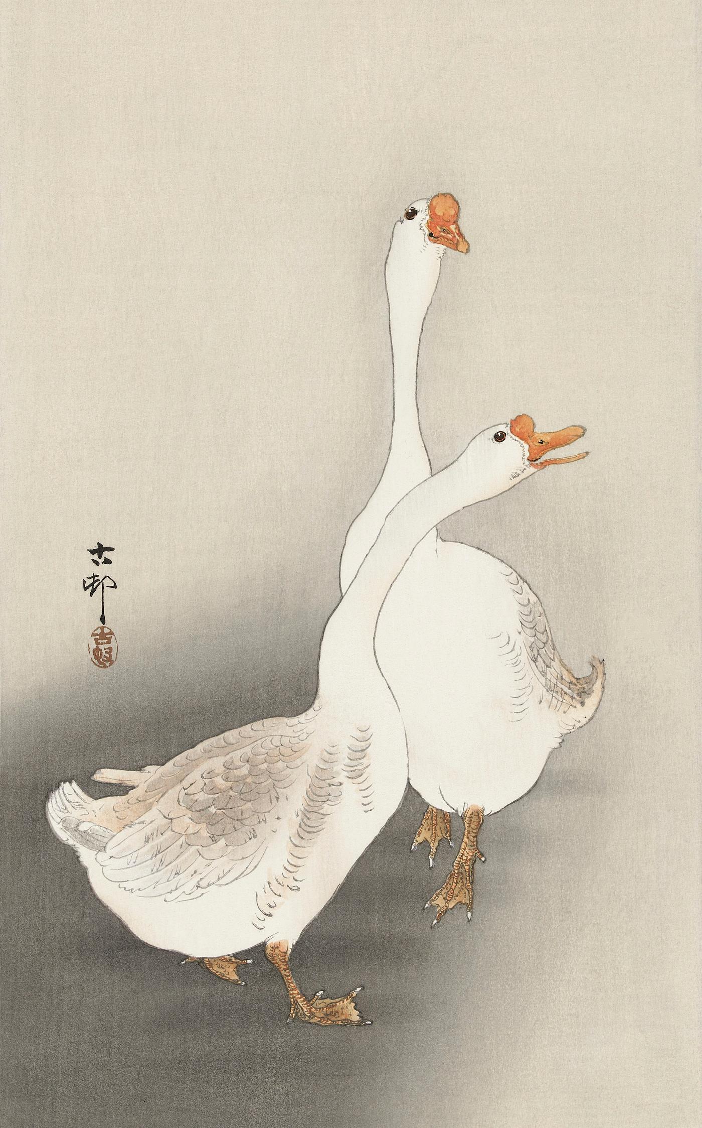 Two geese (1900-1930) by Ohara Koson (1877-1945). Original from The Rijksmuseum. Digitally enhanced by rawpixel. Two geese (1900-1930) by Ohara Koson (1877-1945). Original from The Rijksmuseum. Digitally enhanced by rawpixel.
