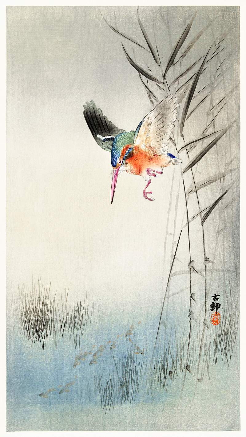 Kingfisher hunting for fish in the water (1900) by Ohara Koson (1877-1945). Original from The Rijksmuseum. Digitally enhanced by rawpixel. Kingfisher hunting for fish in the water (1900) by Ohara Koson (1877-1945). Original from The Rijksmuseum. Digitally enhanced…