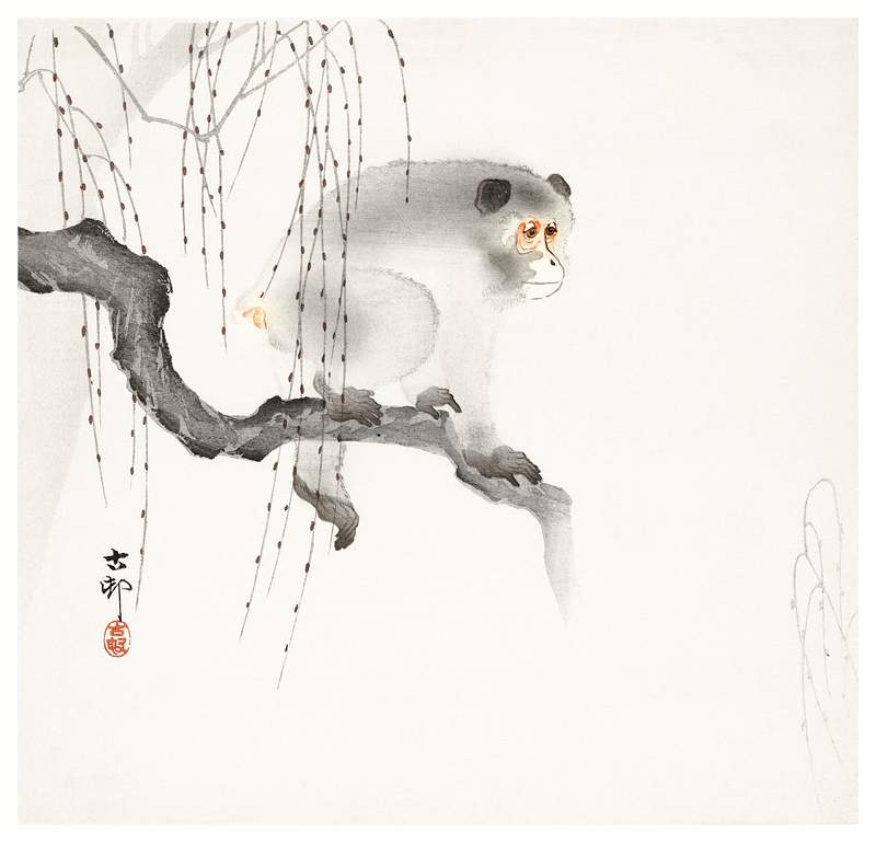 Monkey on a tree branch (1900-1930) by Ohara… | Free public domain illustration Monkey on a tree branch (1900-1930) by Ohara Koson (1877-1945). Original from The Rijksmuseum. Digitally enhanced by…