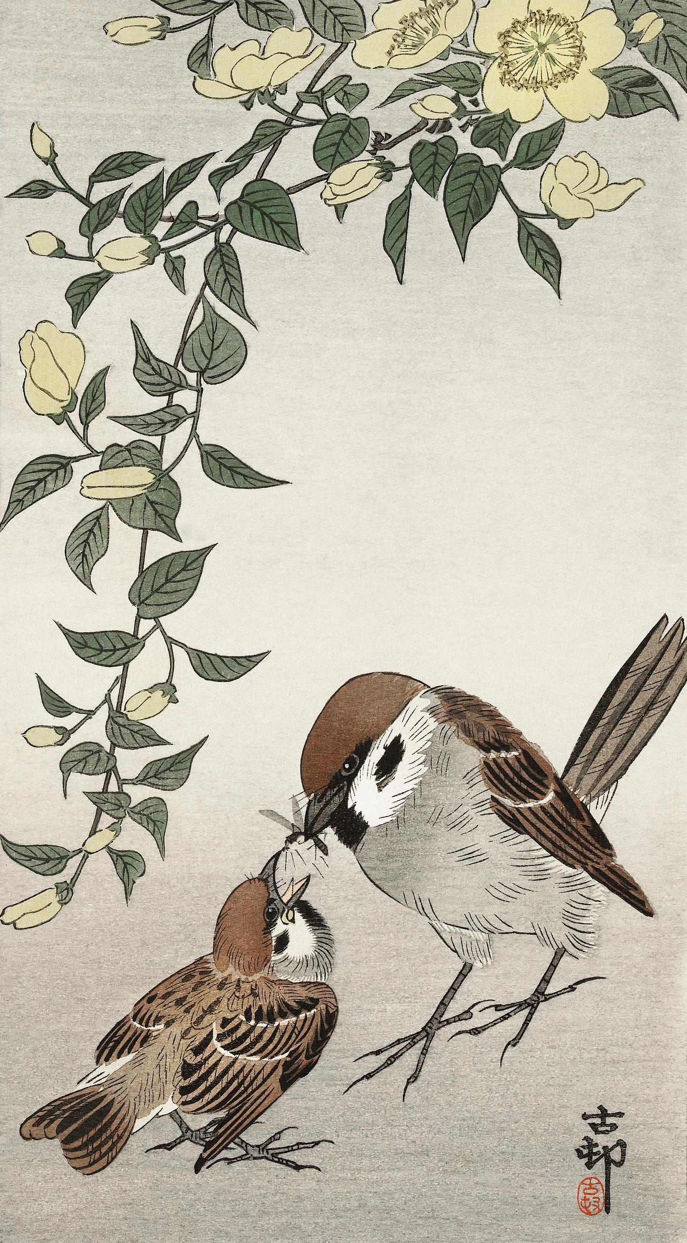 Birds and plants (1900 - 1936) by Ohara Koson (1877-1945). Original from The Rijksmuseum. Digitally enhanced by rawpixel. Birds and plants (1900 - 1936) by Ohara Koson (1877-1945). Original from The Rijksmuseum. Digitally enhanced by rawpixel.