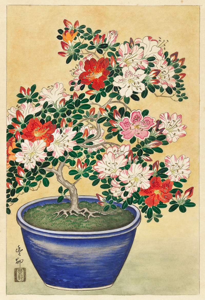 Blooming azalea in blue pot (1920 - 1930) by Ohara Koson (1877-1945). Original from The Rijksmuseum. Digitally enhanced by…