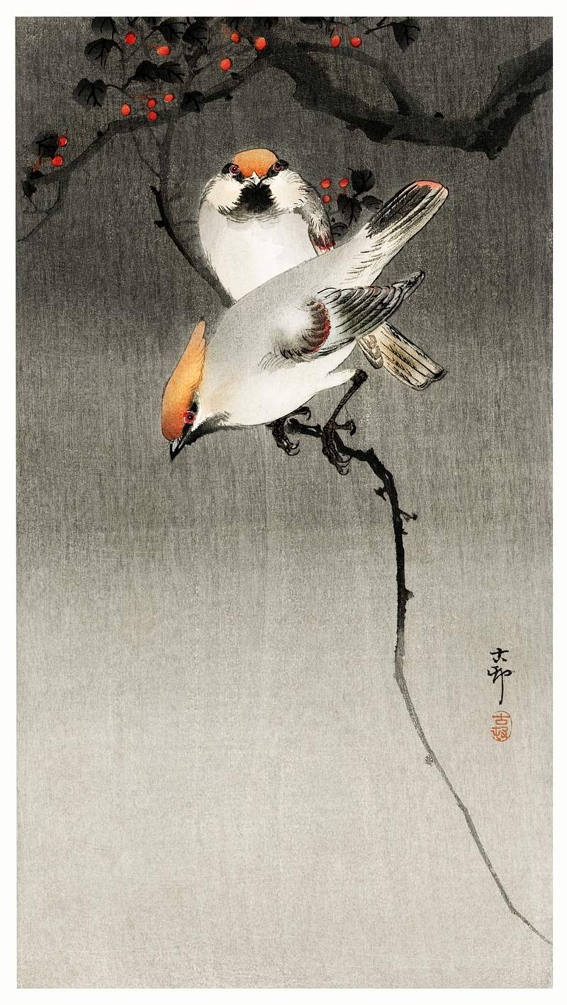 Bohemian waxwing birds (1900-1930) by Ohara… | Free public domain illustration Bohemian waxwing birds (1900-1930) by Ohara Koson (1877-1945). Original from The Rijksmuseum. Digitally enhanced by rawpixel.