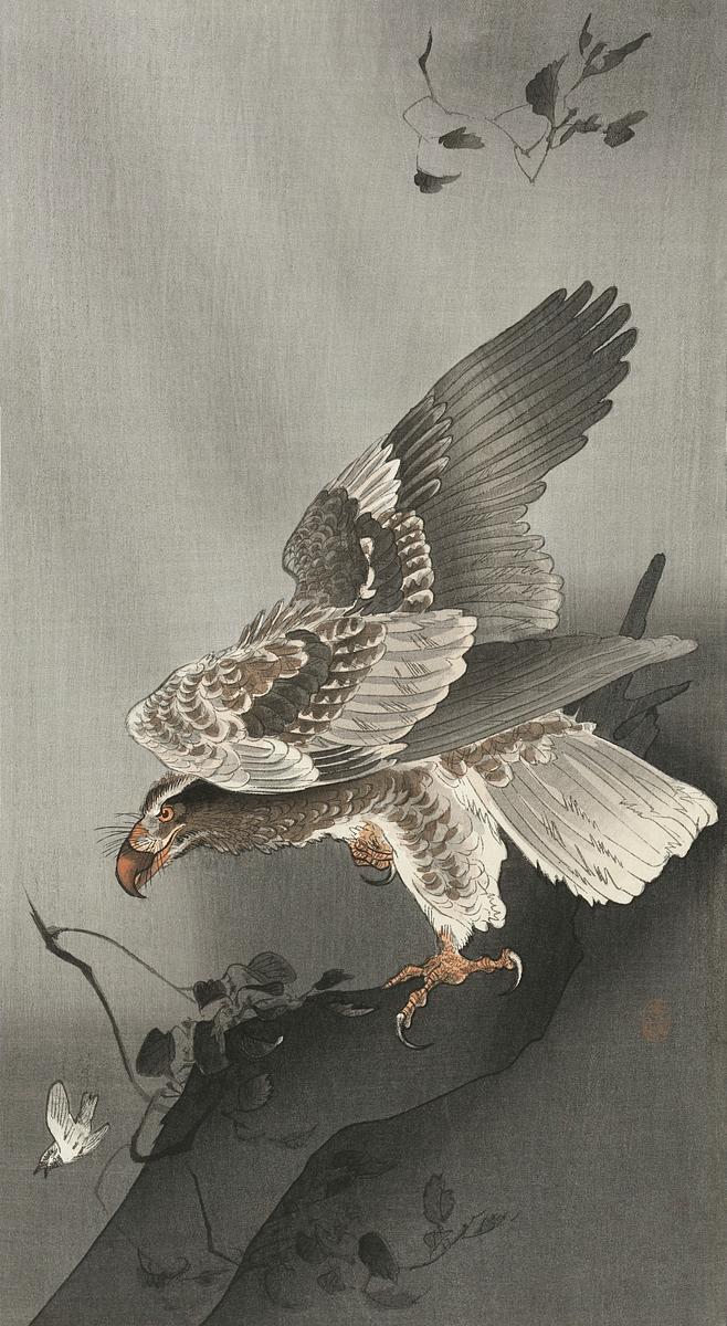 Eagle lurking at a prey (1877-1930) by Ohara… | Free public domain illustration Eagle lurking at a prey (1877-1930) by Ohara Koson (1877-1945). Original from The Rijksmuseum. Digitally enhanced by…