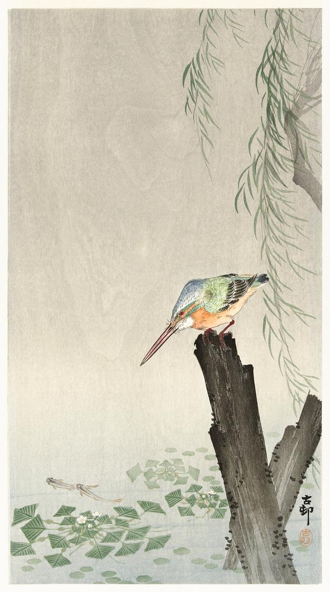 Kingfisher on a tree stump (1900-1936) by… | Free public domain illustration Kingfisher on a tree stump (1900-1936) by Ohara Koson (1877-1945). Original from The Rijksmuseum. Digitally enhanced by…