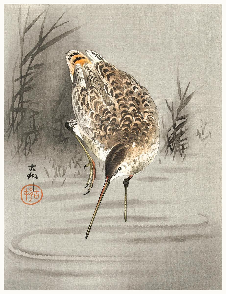 Snip in the water (1900 - 1930) by Ohara… | Free public domain illustration Snip in the water (1900 - 1930) by Ohara Koson (1877-1945). Original from The Rijksmuseum. Digitally enhanced by rawpixel.