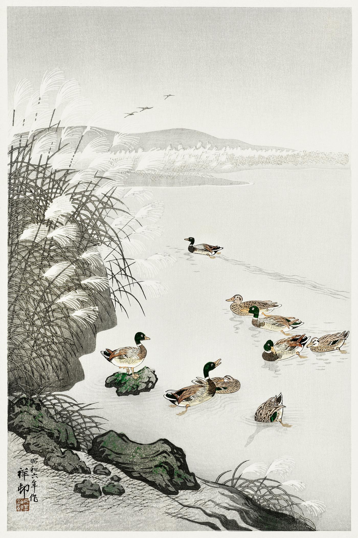 Ducks in the water (1931) by Ohara Koson (1877-1945). Original from The Rijksmuseum. Digitally enhanced by rawpixel. Ducks in the water (1931) by Ohara Koson (1877-1945). Original from The Rijksmuseum. Digitally enhanced by rawpixel.