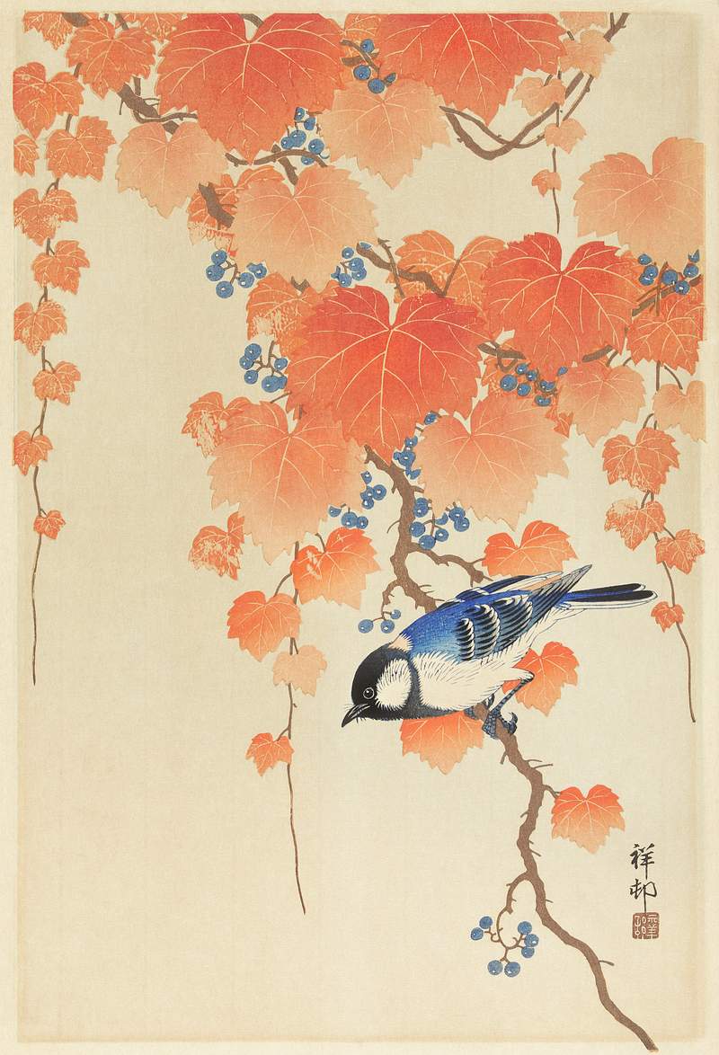 Great tit on paulownia branch (1925 - 1936) by Ohara Koson (1877-1945). Original from The Rijksmuseum. Digitally enhanced by…