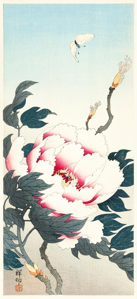 Peony with butterfly (1925 - 1936) by Ohara… | Free public domain illustration Peony with butterfly (1925 - 1936) by Ohara Koson (1877-1945). Original from The Rijksmuseum. Digitally enhanced by rawpixel.