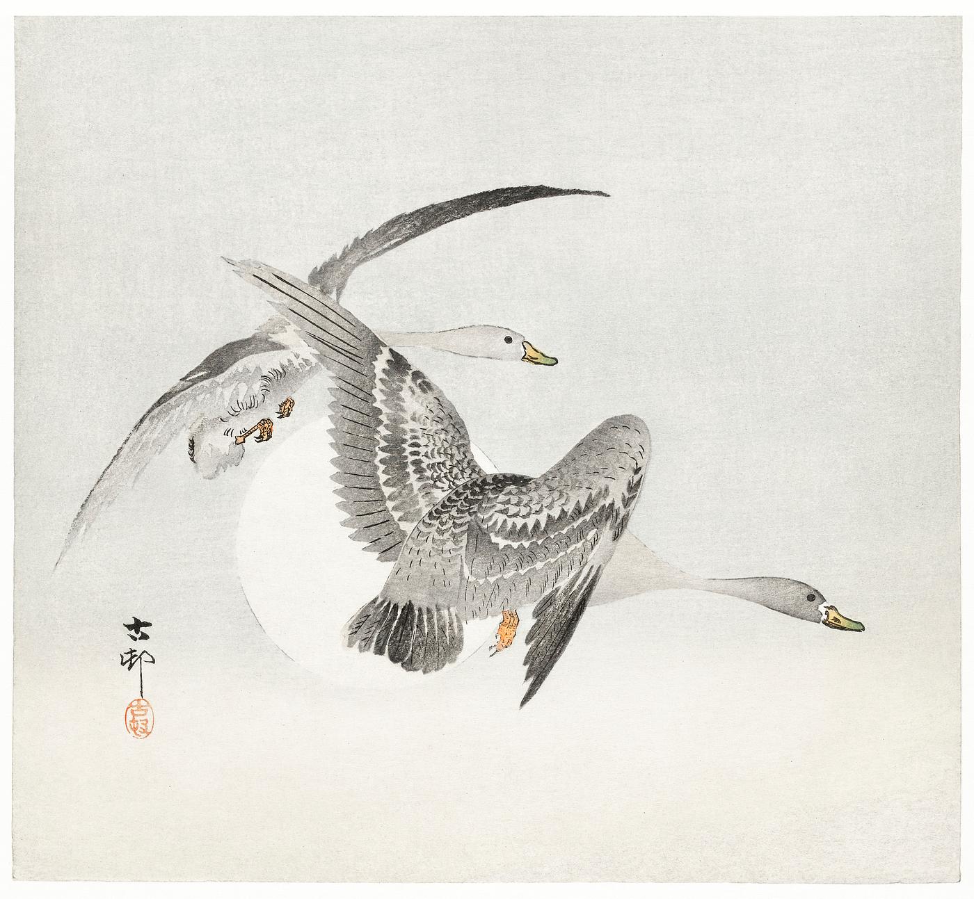 Two colt geese in flight (1900 - 1930) by Ohara Koson (1877-1945). Original from The Rijksmuseum. Digitally enhanced by... Two colt geese in flight (1900 - 1930) by Ohara Koson (1877-1945). Original from The Rijksmuseum. Digitally enhanced by...